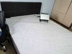 Lucky Plaza (D9), Apartment #500438001